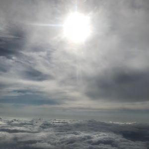 Meet your Posher, Eloise